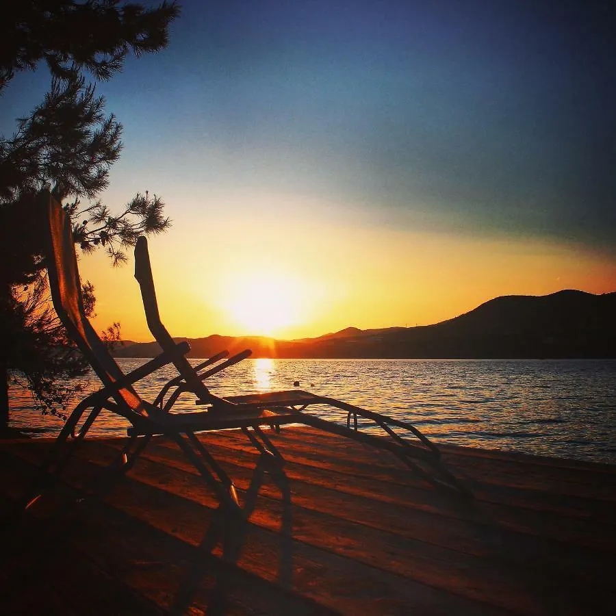 O Sole Apartment With Private Beach Donji Okrug  Croatia